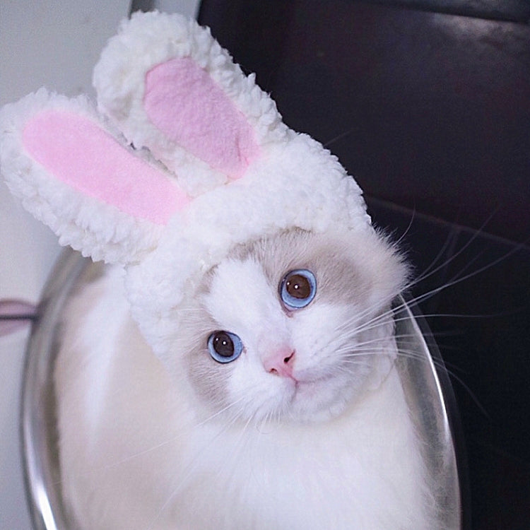 Copricapo adorabile per copricapo per animali domestici con orecchie di coniglio, Lovely Rabbit Ear Headgear