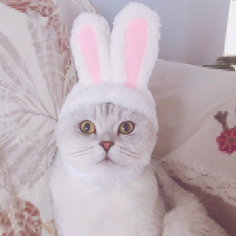 Copricapo adorabile per copricapo per animali domestici con orecchie di coniglio, Lovely Rabbit Ear Headgear