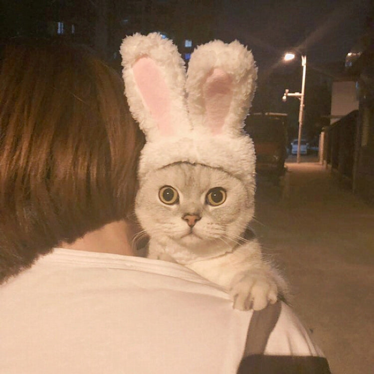 Copricapo adorabile per copricapo per animali domestici con orecchie di coniglio, Lovely Rabbit Ear Headgear