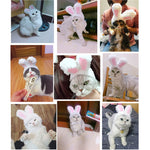 Copricapo adorabile per copricapo per animali domestici con orecchie di coniglio, Lovely Rabbit Ear Headgear