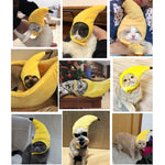 Creativo trasformato in divertente animale domestico gatto Teddy Festival divertente copricapo di banana, Banana Headgear