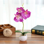 Vaso rotondo paesaggistico decorativo Tre fiori Phalaenopsis Bonsai Simulazione Piante in vaso