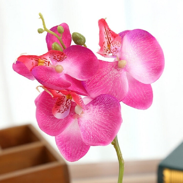 Vaso rotondo paesaggistico decorativo Tre fiori Phalaenopsis Bonsai Simulazione Piante in vaso