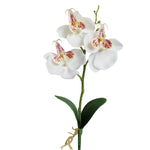 Vaso rotondo paesaggistico decorativo Tre fiori Phalaenopsis Bonsai Simulazione Piante in vaso