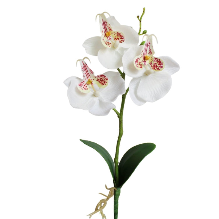 Vaso rotondo paesaggistico decorativo Tre fiori Phalaenopsis Bonsai Simulazione Piante in vaso