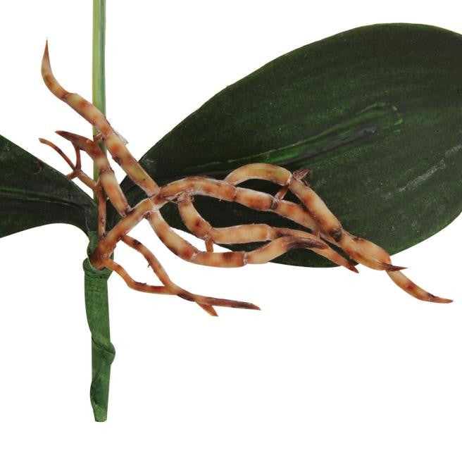 Vaso rotondo paesaggistico decorativo Tre fiori Phalaenopsis Bonsai Simulazione Piante in vaso