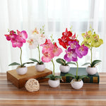 Vaso rotondo paesaggistico decorativo Tre fiori Phalaenopsis Bonsai Simulazione Piante in vaso