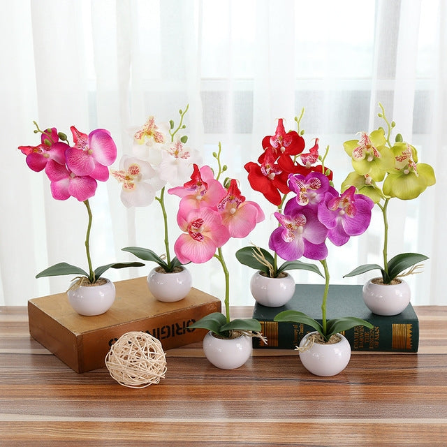 Vaso rotondo paesaggistico decorativo Tre fiori Phalaenopsis Bonsai Simulazione Piante in vaso