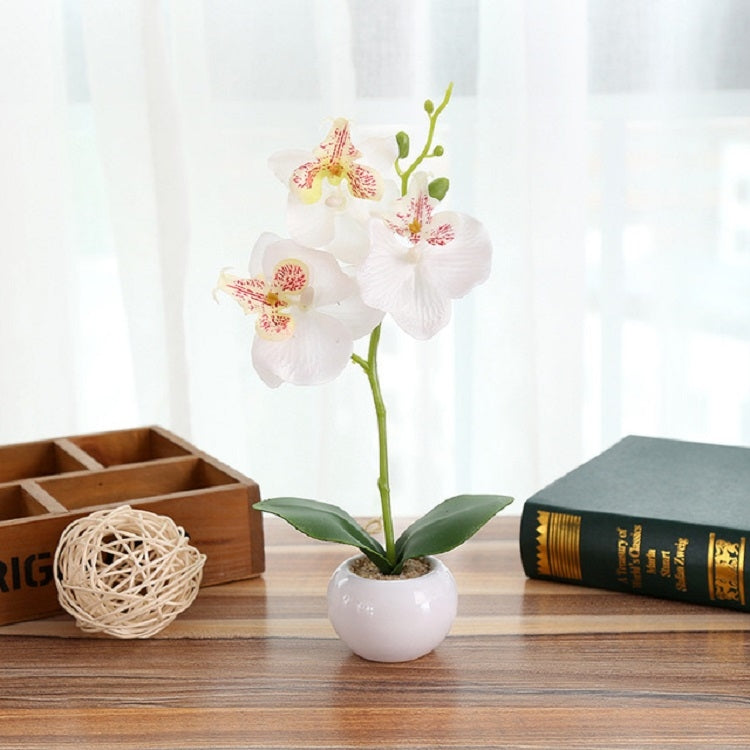 Vaso rotondo paesaggistico decorativo Tre fiori Phalaenopsis Bonsai Simulazione Piante in vaso