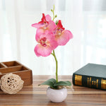 Vaso rotondo paesaggistico decorativo Tre fiori Phalaenopsis Bonsai Simulazione Piante in vaso
