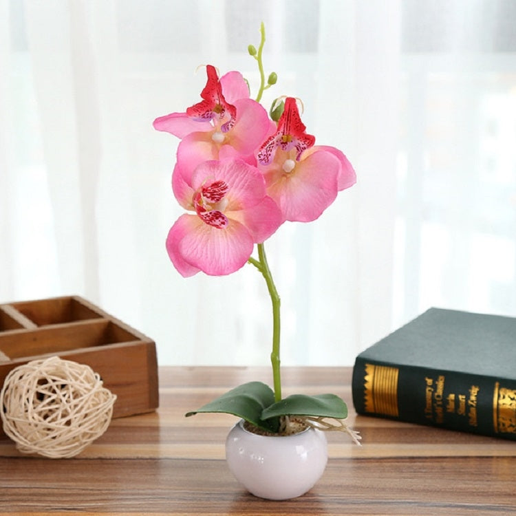 Vaso rotondo paesaggistico decorativo Tre fiori Phalaenopsis Bonsai Simulazione Piante in vaso