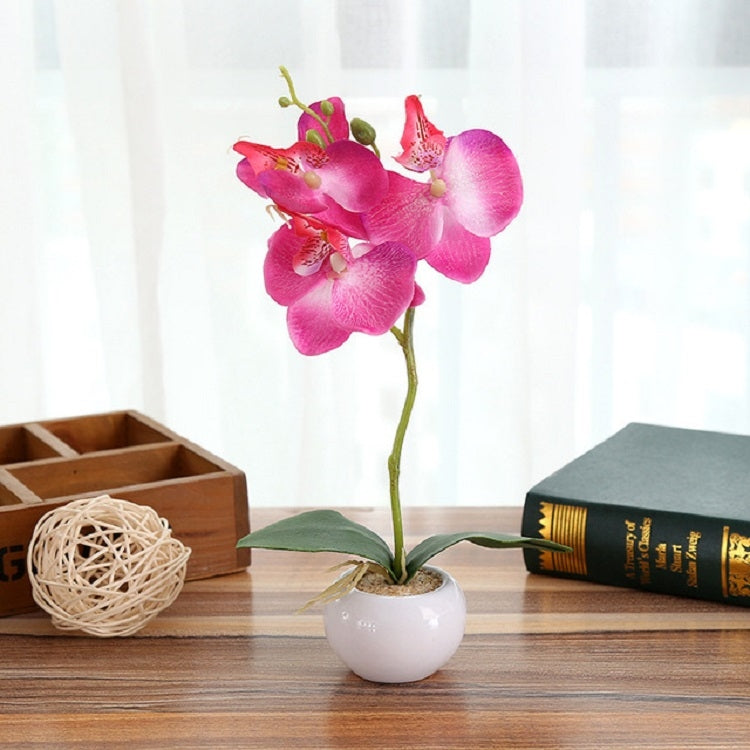 Vaso rotondo paesaggistico decorativo Tre fiori Phalaenopsis Bonsai Simulazione Piante in vaso