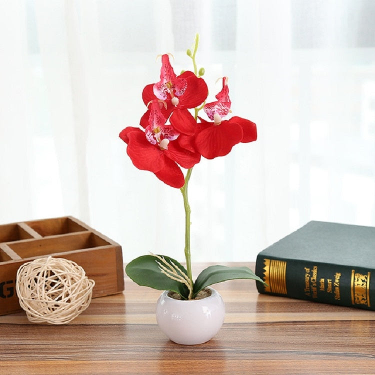 Vaso rotondo paesaggistico decorativo Tre fiori Phalaenopsis Bonsai Simulazione Piante in vaso