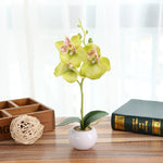Vaso rotondo paesaggistico decorativo Tre fiori Phalaenopsis Bonsai Simulazione Piante in vaso
