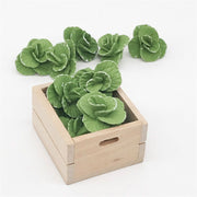 5 pezzi 1:12 Mini casa giocattolo Simulazione di verdure Cavolo Accessorio da cucina Mini casa giocattolo, 5 PCS Cabbage
