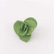 5 pezzi 1:12 Mini casa giocattolo Simulazione di verdure Cavolo Accessorio da cucina Mini casa giocattolo, 5 PCS Cabbage