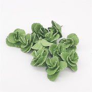 5 pezzi 1:12 Mini casa giocattolo Simulazione di verdure Cavolo Accessorio da cucina Mini casa giocattolo, 5 PCS Cabbage