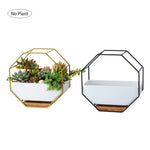 Semplice tavolo da appendere a parete geometrico ottagonale, piatto succulento, supporto in bambù, struttura in ferro, vaso da fiori