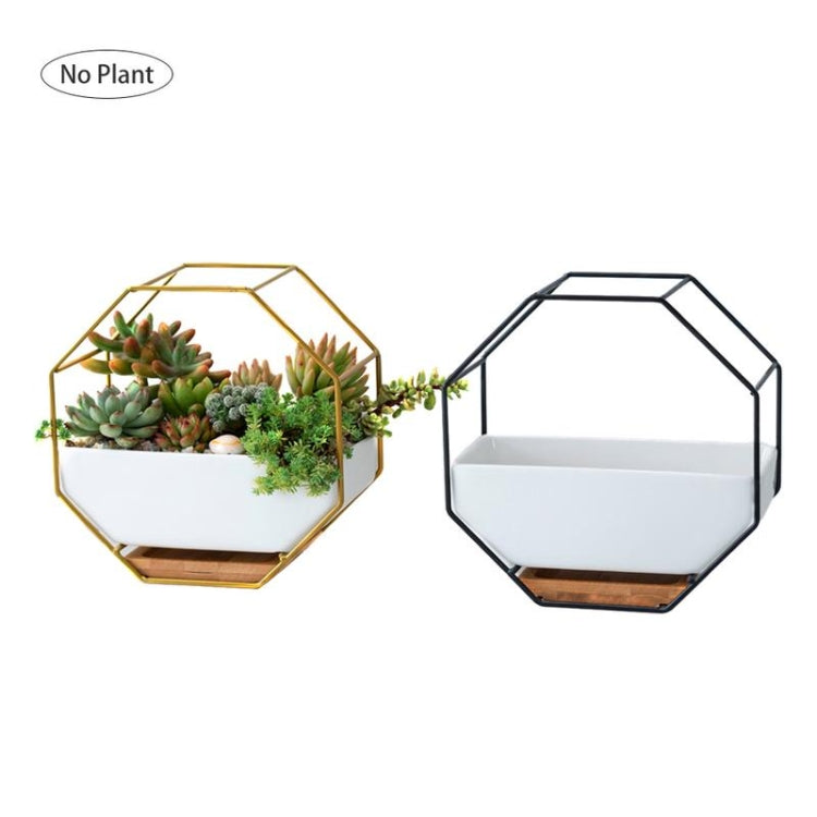 Semplice tavolo da appendere a parete geometrico ottagonale, piatto succulento, supporto in bambù, struttura in ferro, vaso da fiori