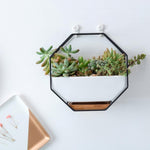 Semplice tavolo da appendere a parete geometrico ottagonale, piatto succulento, supporto in bambù, struttura in ferro, vaso da fiori