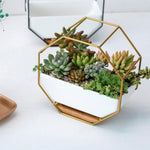Semplice tavolo da appendere a parete geometrico ottagonale, piatto succulento, supporto in bambù, struttura in ferro, vaso da fiori