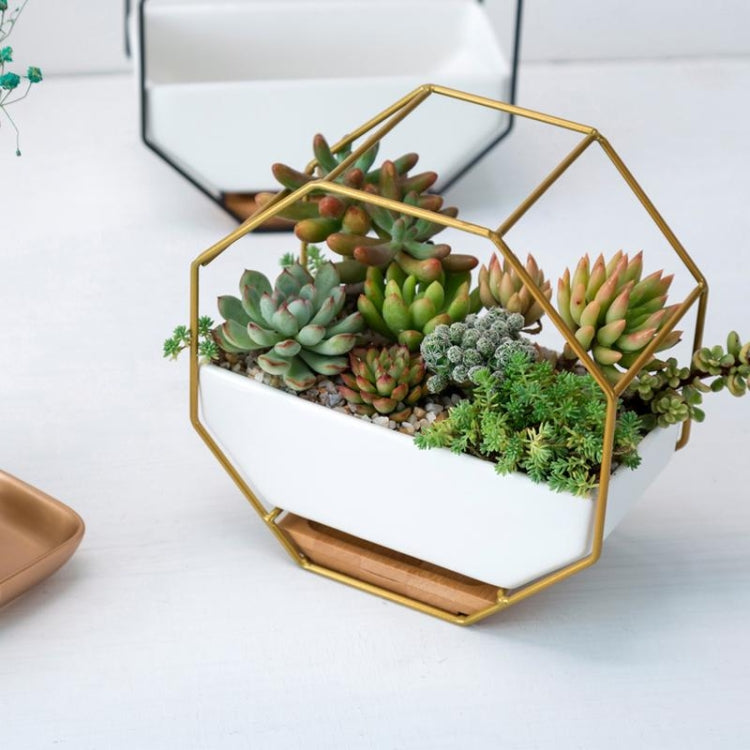 Semplice tavolo da appendere a parete geometrico ottagonale, piatto succulento, supporto in bambù, struttura in ferro, vaso da fiori