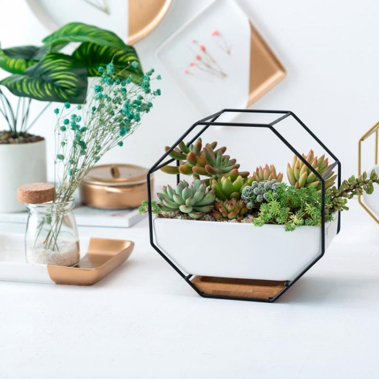 Semplice tavolo da appendere a parete geometrico ottagonale, piatto succulento, supporto in bambù, struttura in ferro, vaso da fiori