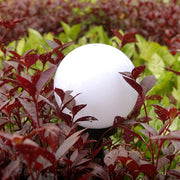 Luce solare da giardino lampadina esterna impermeabile