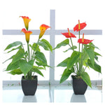 Fiore artificiale Calla Pianta in vaso Decorazione domestica Pianta verde