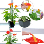 Fiore artificiale Calla Pianta in vaso Decorazione domestica Pianta verde