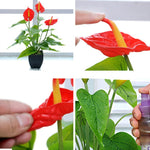 Fiore artificiale Calla Pianta in vaso Decorazione domestica Pianta verde