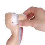 Modello di struttura dell'organo di anatomia umana da 26 cm per l'istruzione primaria e secondaria medica