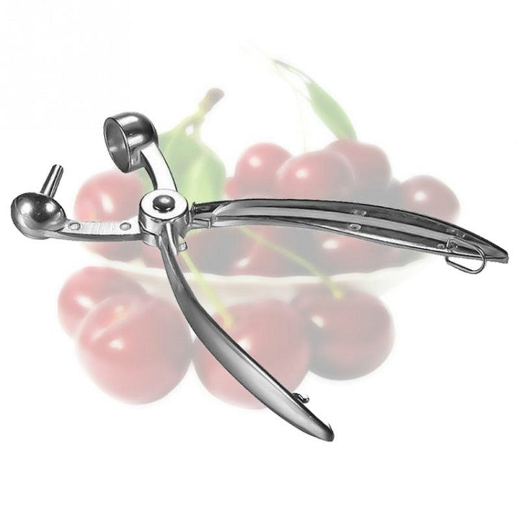 Nucleatore per ciliegie per frutta in acciaio inossidabile, Corer Cherry Nucleator
