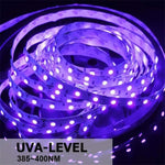 3528 SMD UV Viola Striscia luminosa Lampada LED epossidica Striscia luminosa decorativa, Waterproof 5m, Bare Board 5m, Waterproof 10m, Bare Board 10m