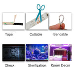 3528 SMD UV Viola Striscia luminosa Lampada LED epossidica Striscia luminosa decorativa, Waterproof 5m, Bare Board 5m, Waterproof 10m, Bare Board 10m