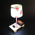 Lampada da tavolo piccola creativa fai-da-te Tecnologia Piccola produzione Studenti della scuola primaria Manuale Esperimento di scienza dei materiali, DIY Small Table Lamp
