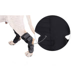 DogLemi PD60041 Garretto per cani Pet Supporta la parte posteriore del cane Compressione per l'articolazione della gamba Protegge ferite e lesioni, S, M, L, XL