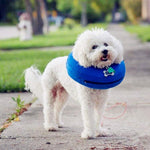 Collare per animali domestici gonfiabile Collare protettivo caldo per la cura delle ferite, S, M, L