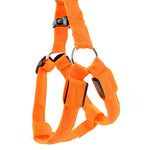 Guinzaglio per pettorina per cani e gatti in nylon con luce a LED a doppia faccia, XS, S, M, L, XL