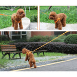 Guinzaglio per pettorina per cani e gatti in nylon con luce a LED a doppia faccia, XS, S, M, L, XL