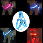 Guinzaglio per pettorina per cani e gatti in nylon con luce a LED a doppia faccia, XS, S, M, L, XL