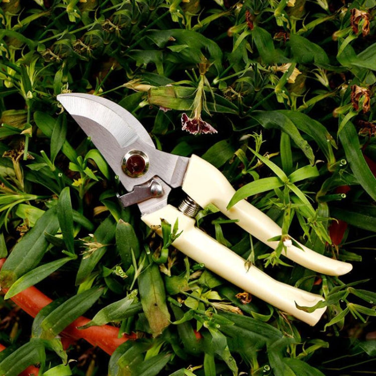 2 pz Attrezzi da giardino Cesoie da potatura in acciaio inossidabile Forbici per alberi da frutto Cesoie per rami da giardino