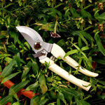 2 pz Attrezzi da giardino Cesoie da potatura in acciaio inossidabile Forbici per alberi da frutto Cesoie per rami da giardino