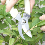 2 pz Attrezzi da giardino Cesoie da potatura in acciaio inossidabile Forbici per alberi da frutto Cesoie per rami da giardino