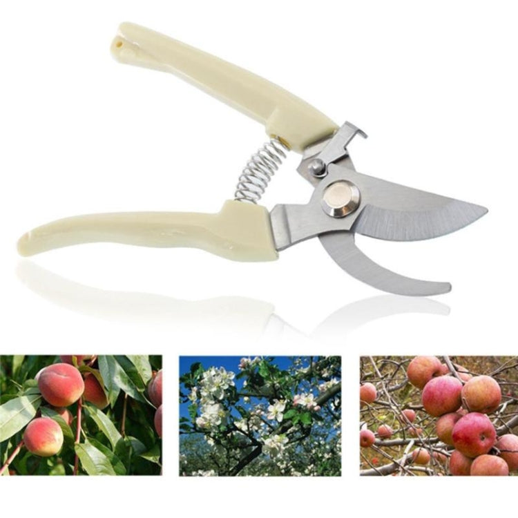 2 pz Attrezzi da giardino Cesoie da potatura in acciaio inossidabile Forbici per alberi da frutto Cesoie per rami da giardino