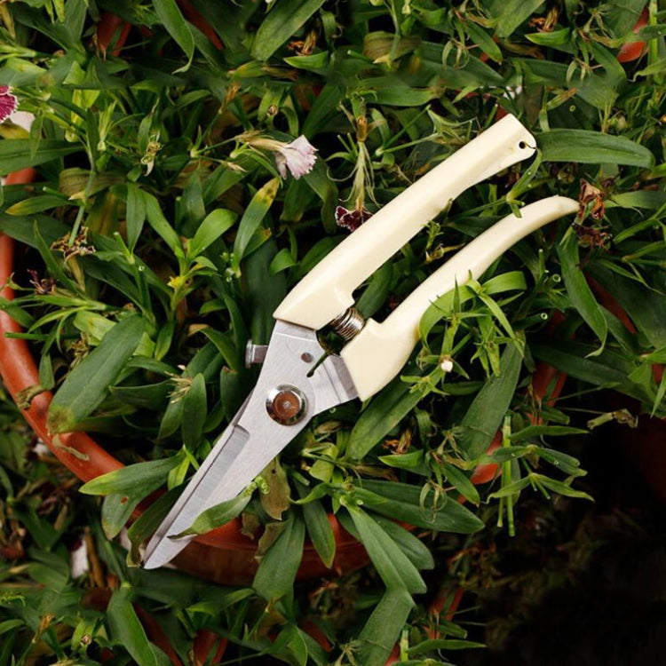 2 pz Attrezzi da giardino Cesoie da potatura in acciaio inossidabile Forbici per alberi da frutto Cesoie per rami da giardino