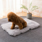 Cuscino in peluche quadrato per cani e gatti caldo