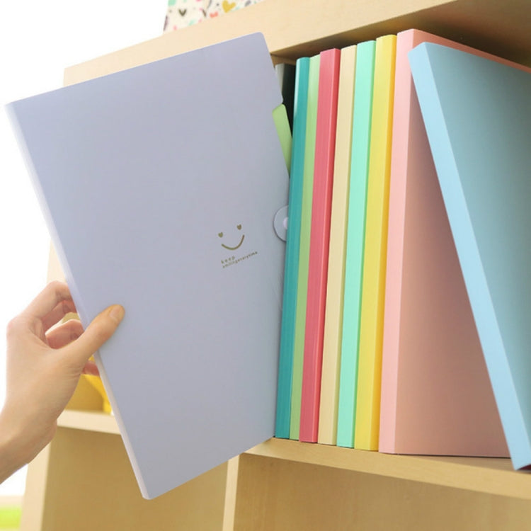 Cartella portadocumenti multistrato con volto sorridente color caramello Cartella in plastica per libri informativi
