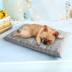 Tappetino invernale caldo per cani e gatti S, M, L, XL
