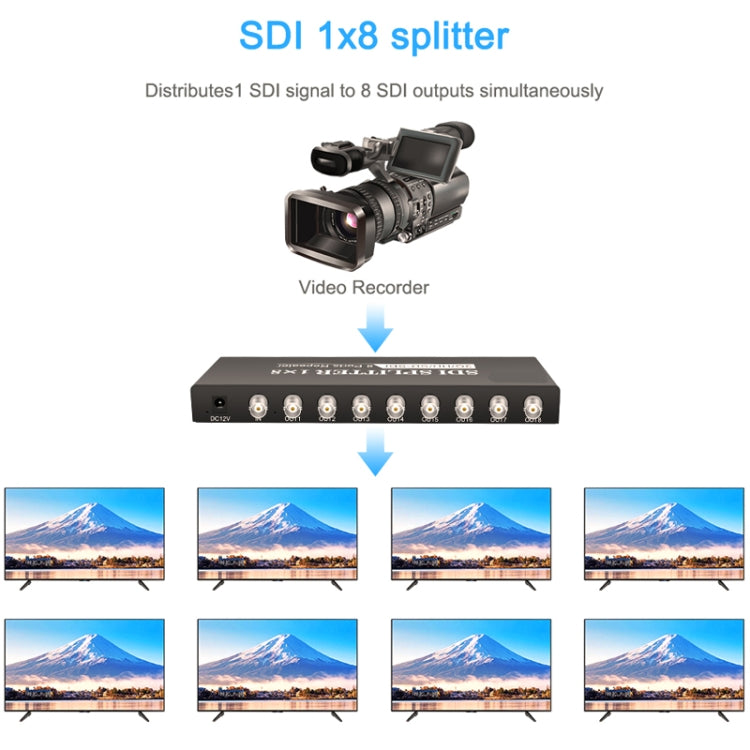 Splitter video SDI con amplificatore di distribuzione SD-SDI / HD-SDI / 3G-SDI 1 ingresso 8 uscite, 1 In 8 Out